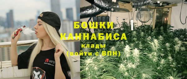 не бодяженный Краснослободск