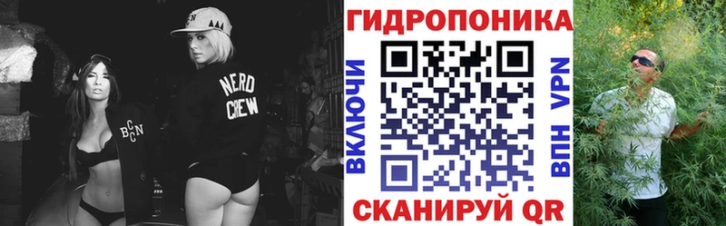 Каннабис план  где купить наркоту  Куровское 